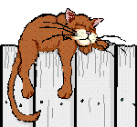Katze Franzi...